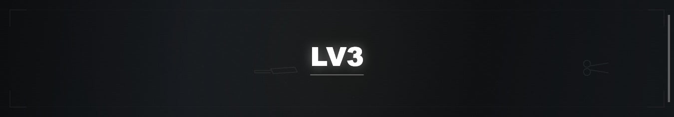 LV3