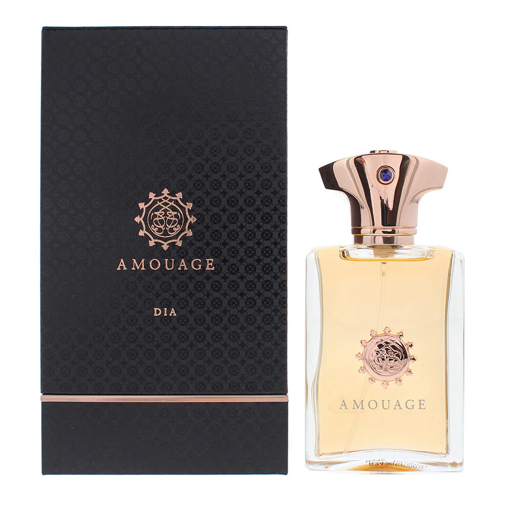 AMOUAGE DIA EDP Man 100ml Boxed