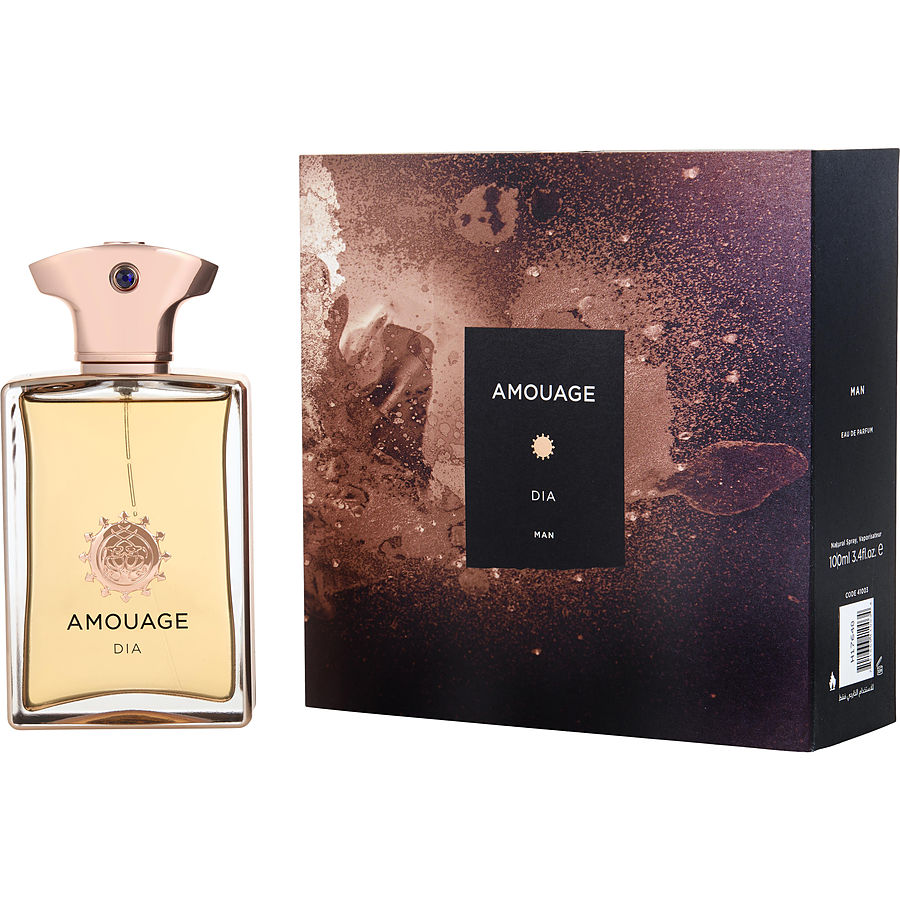 AMOUAGE DIA EDP Man 100ml Boxed