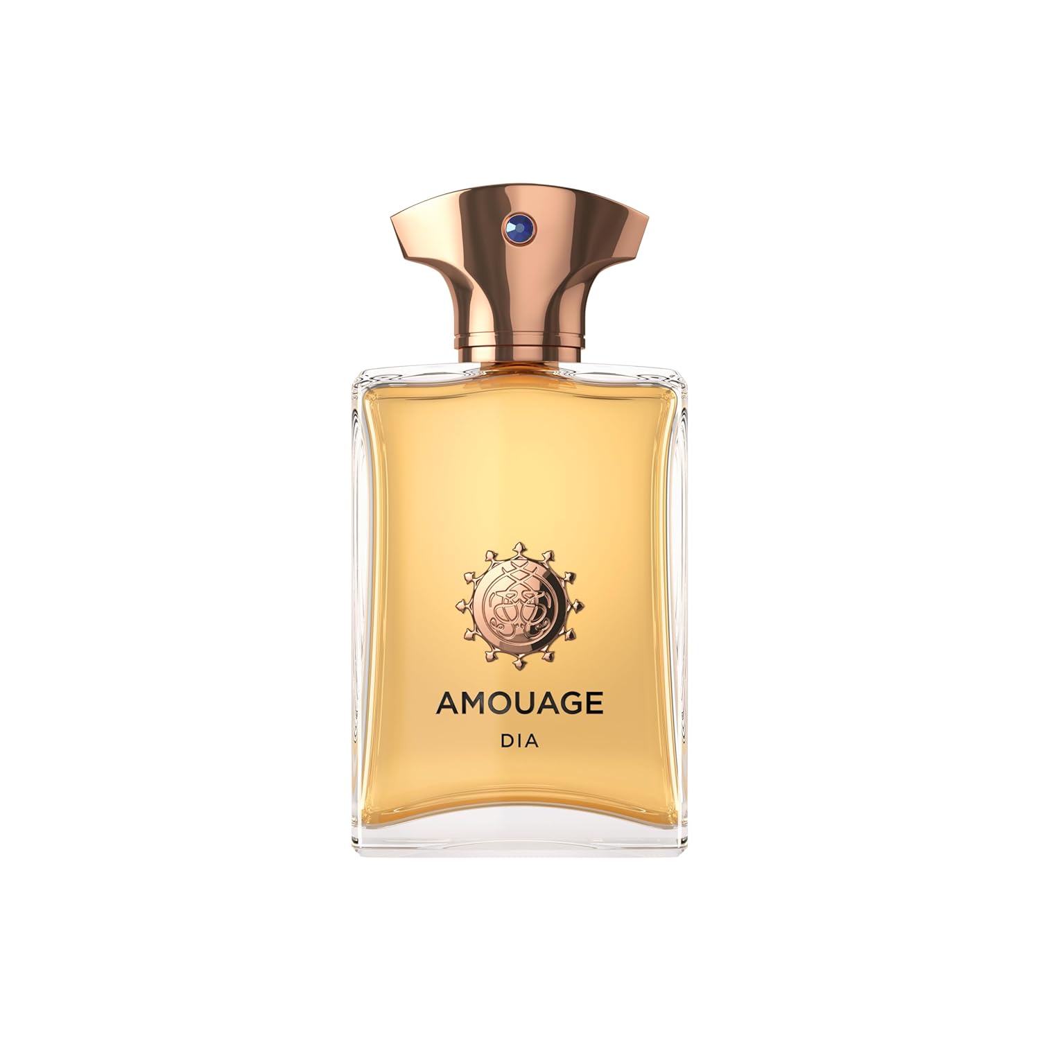 AMOUAGE DIA EDP Man 100ml Boxed