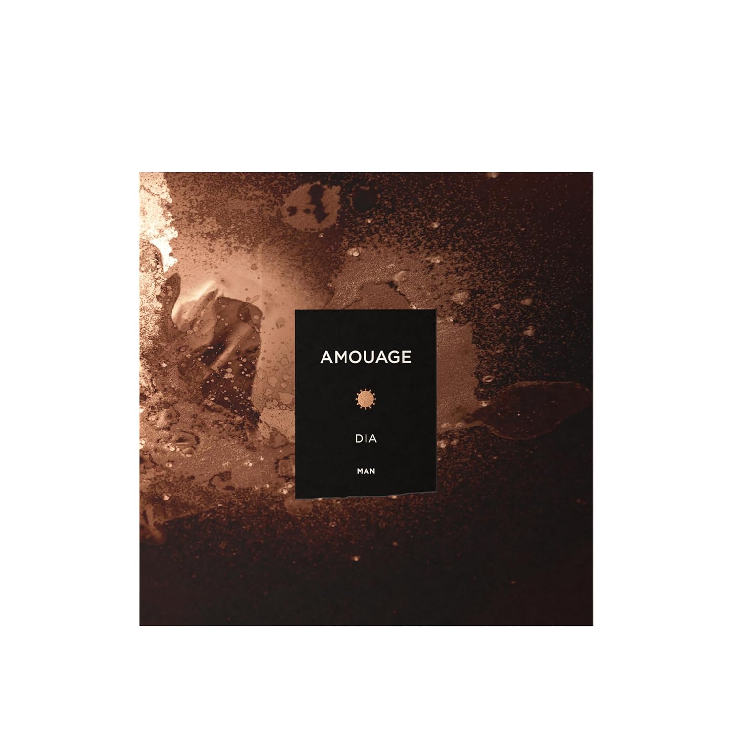 AMOUAGE DIA EDP Man 100ml Boxed