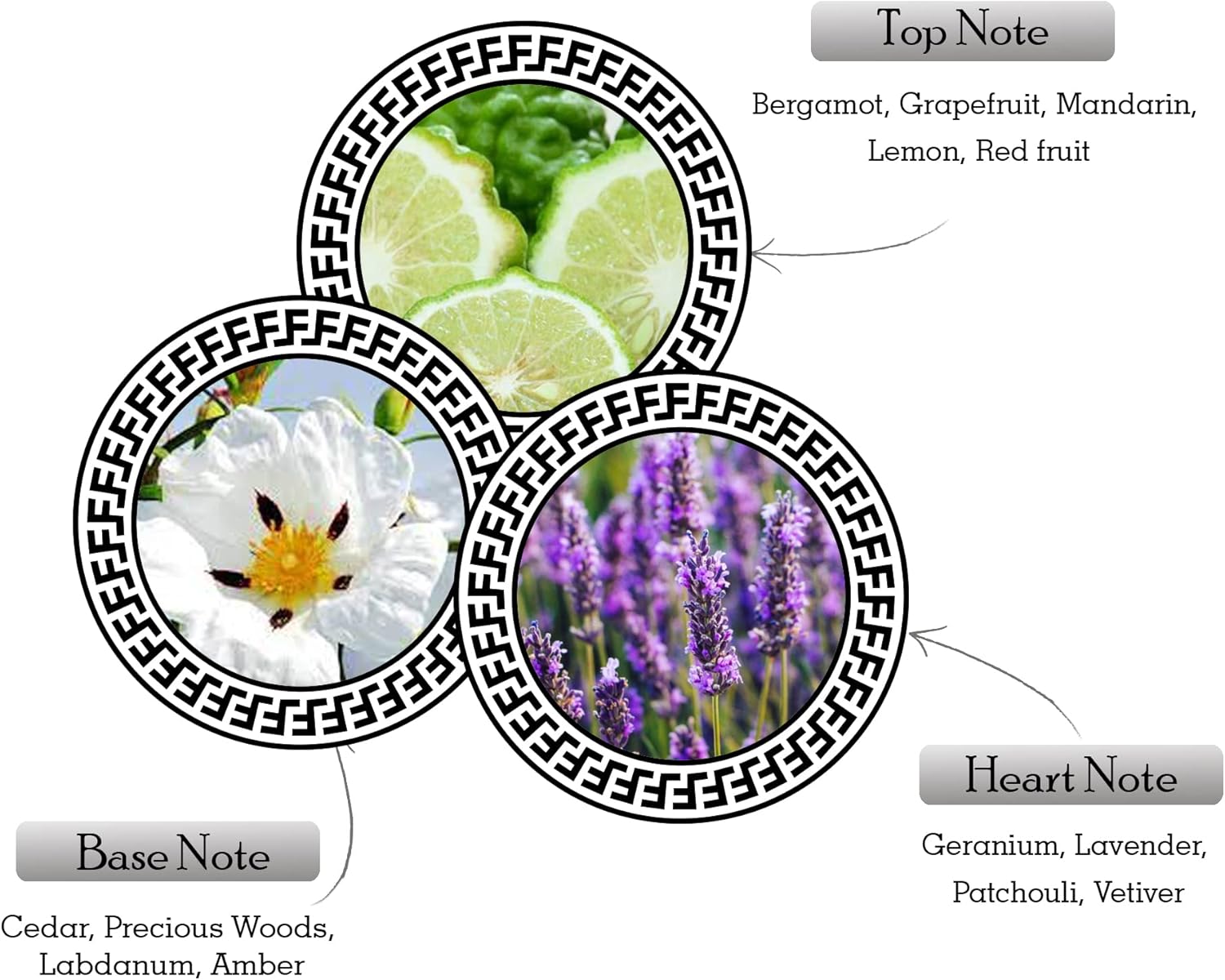 Armaf Ventana M 100ml Boxed