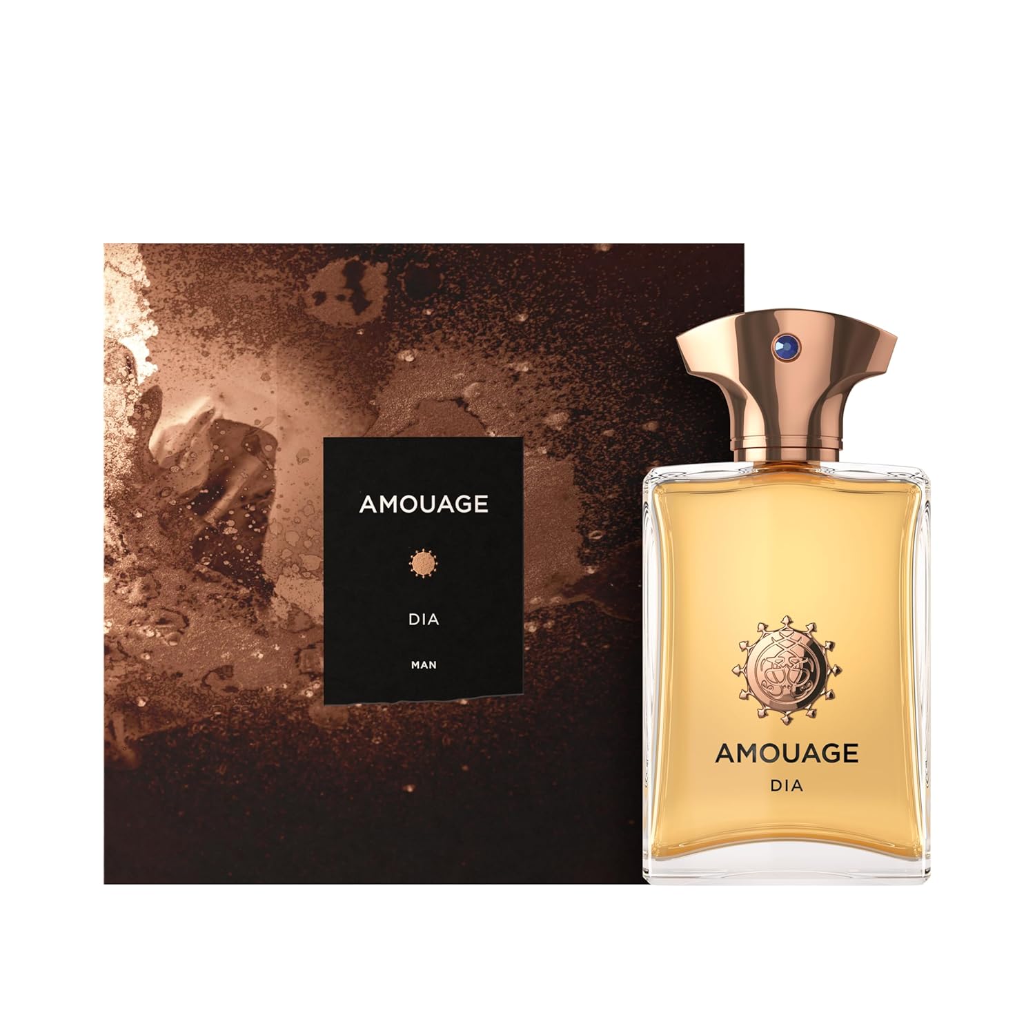 AMOUAGE DIA EDP Man 100ml Boxed