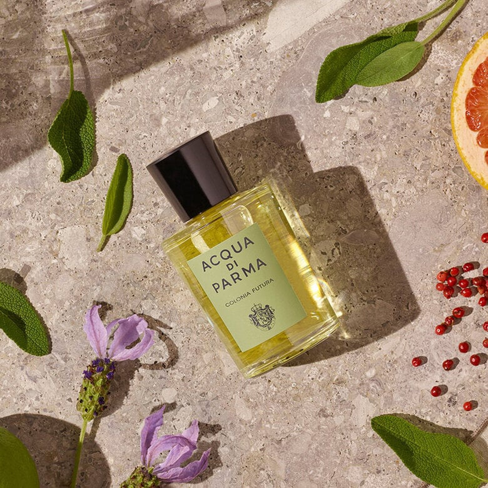 Acqua Di Parma Colonia Futura EDC M 100ml Boxed