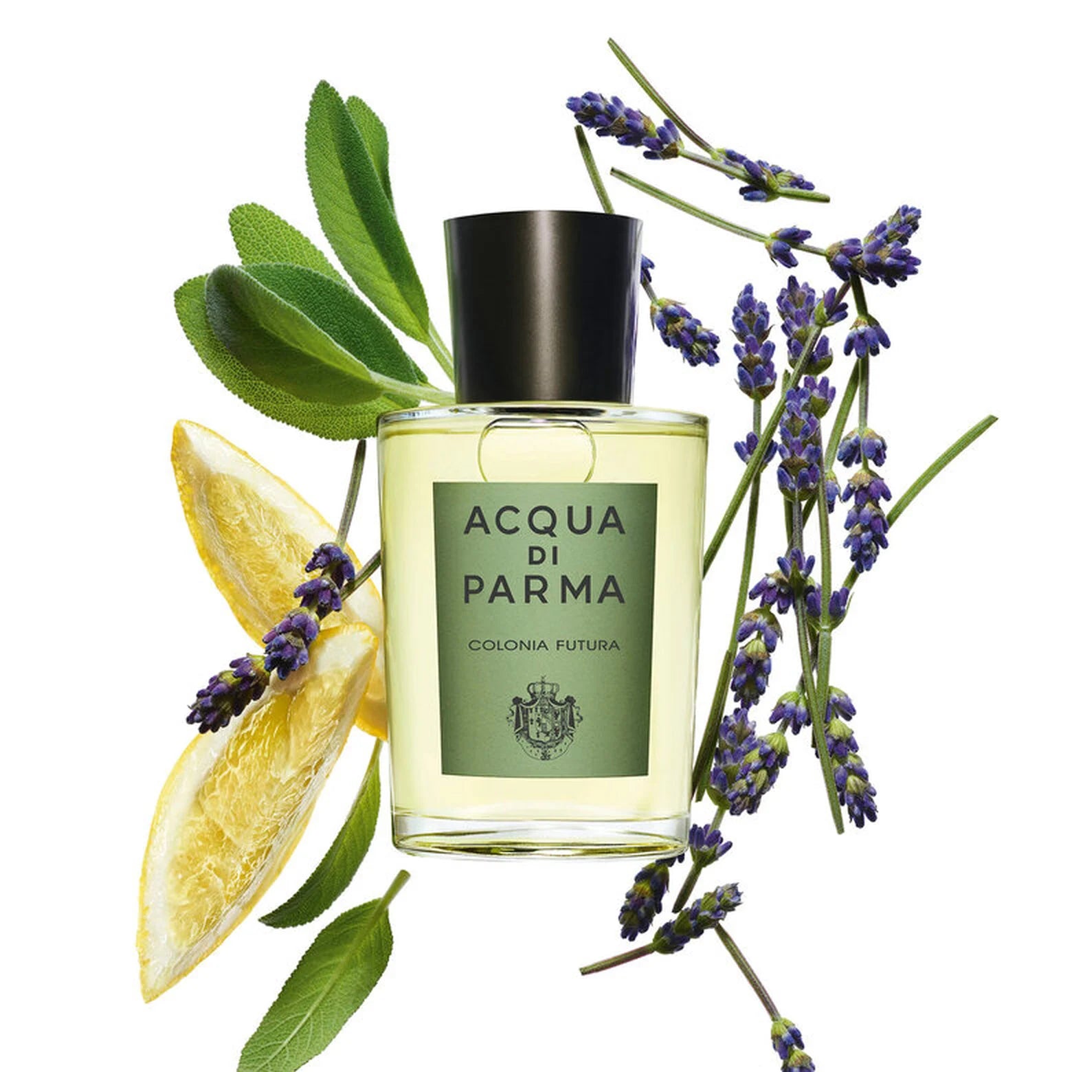 Acqua Di Parma Colonia Futura EDC M 100ml Boxed