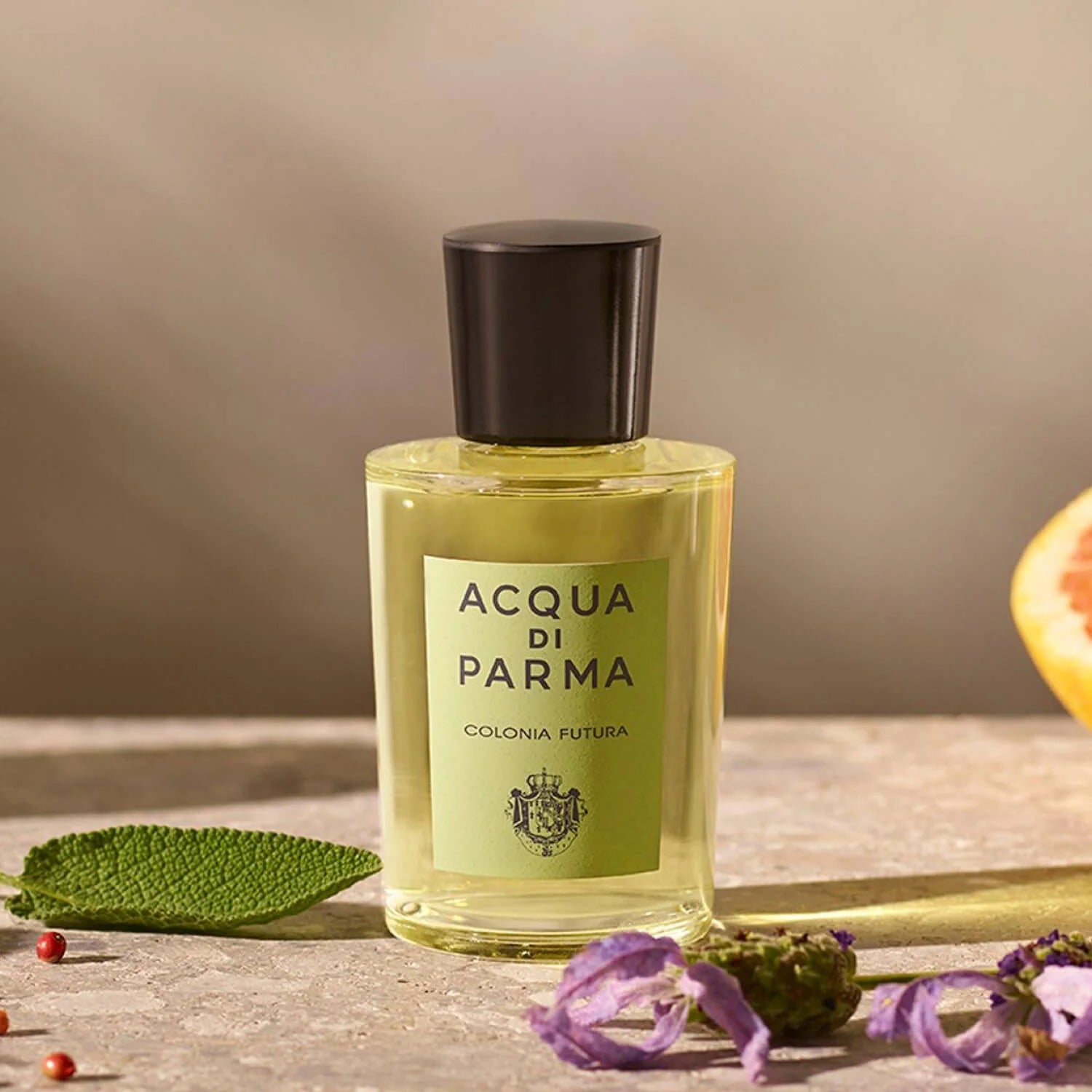 Acqua Di Parma Colonia Futura EDC M 50ml Boxed