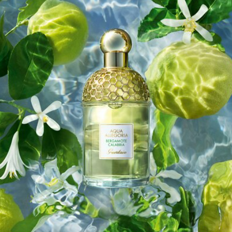 Guerlain Aqua Allegoria Bergamote Calabria W 125ml Boxed