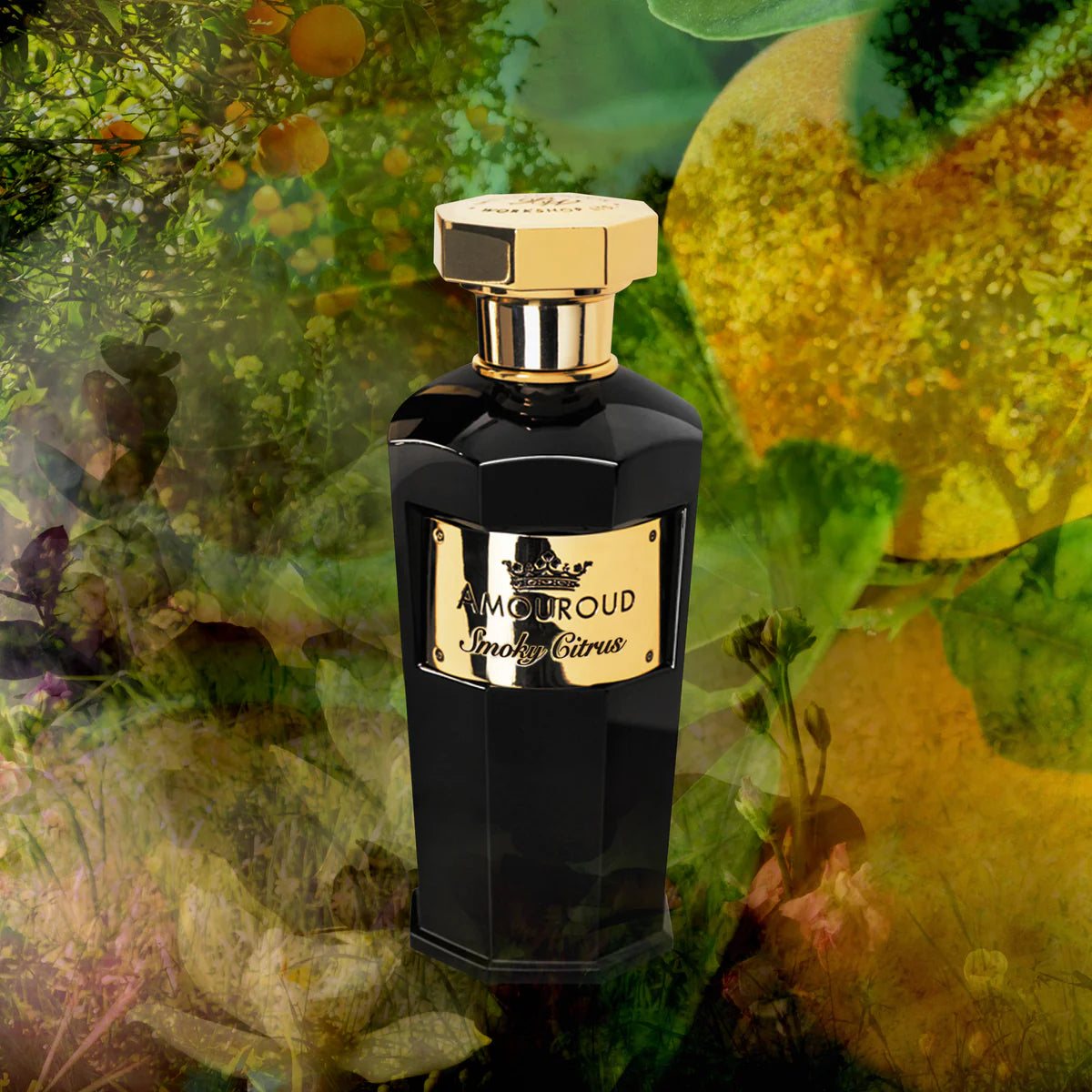 Amouroud Smoky Citrus EDP M 100ml Boxed