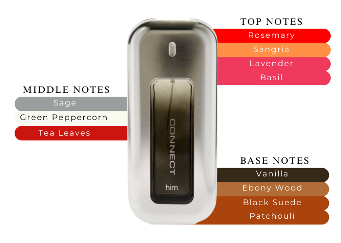 French Connection 'Connect' M 100ml