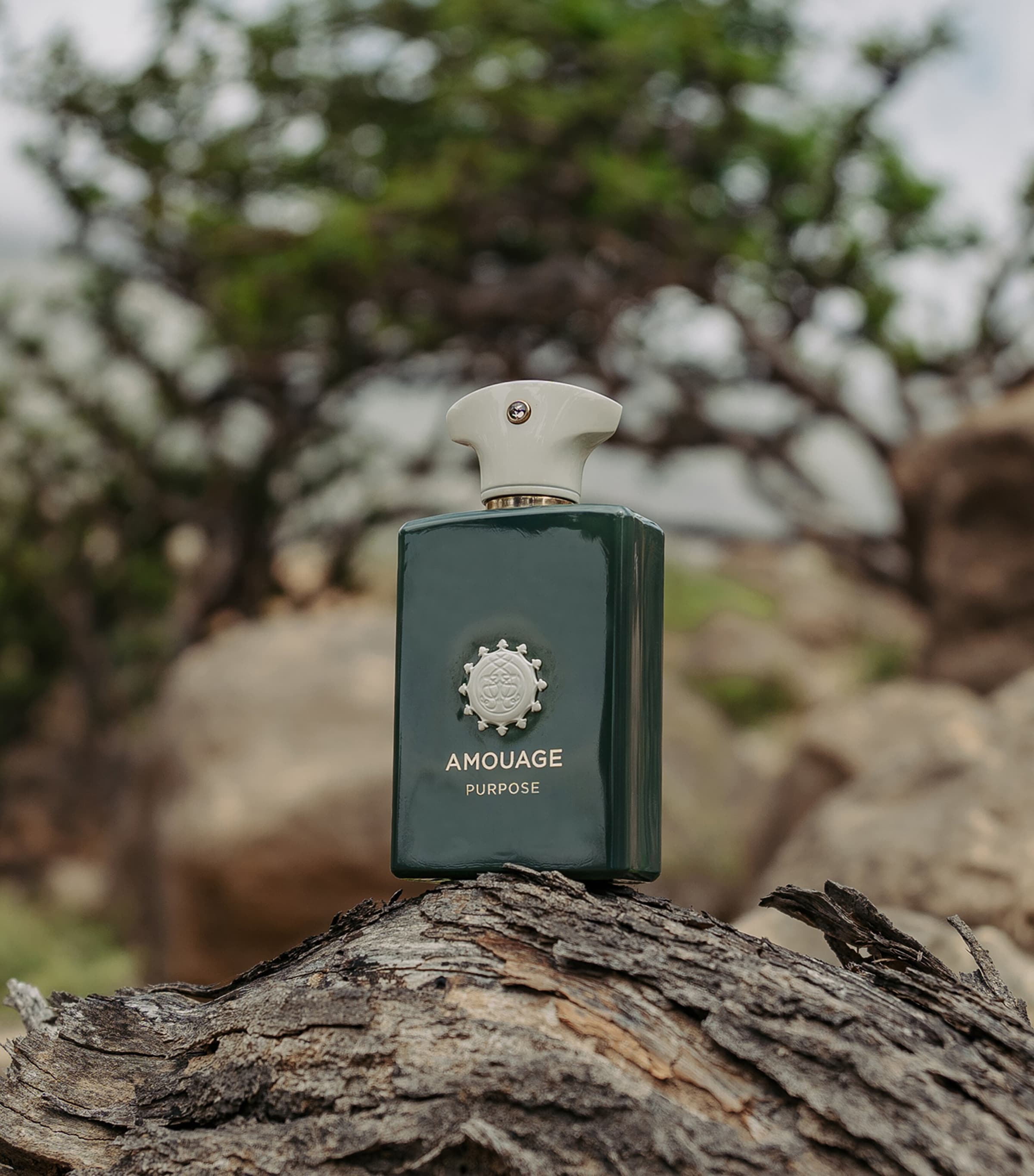 Amouage Purpose EDP M 100ml Boxed