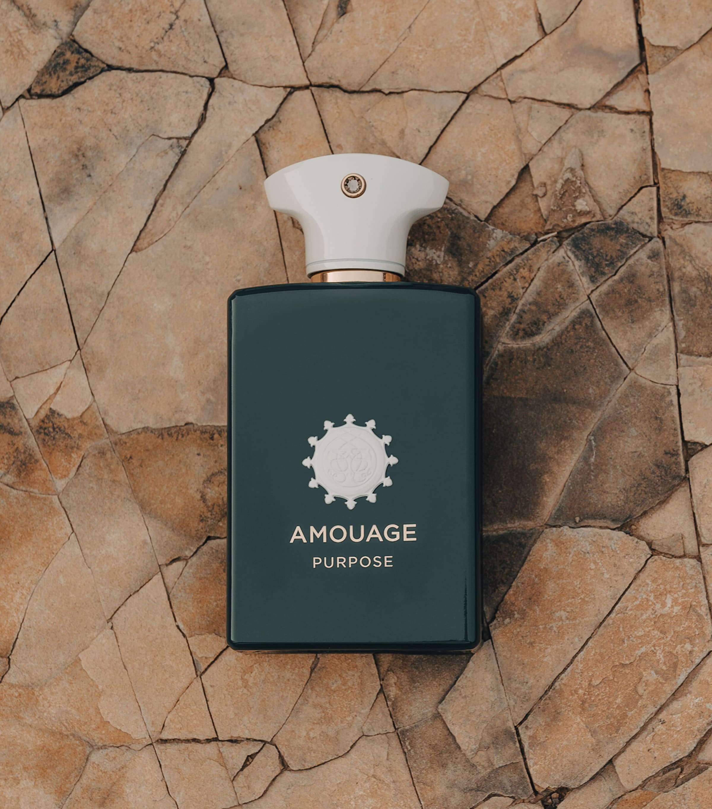 Amouage Purpose EDP M 100ml Boxed