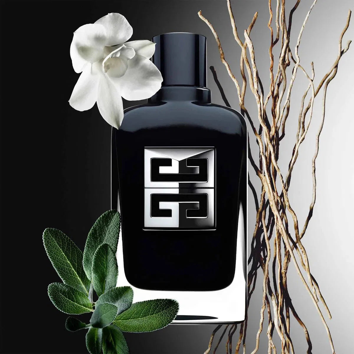 Society M 100ml