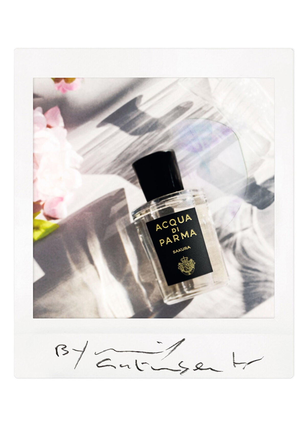 Acqua Di Parma Sakura EDP 100ml Boxed (Rare Selection)