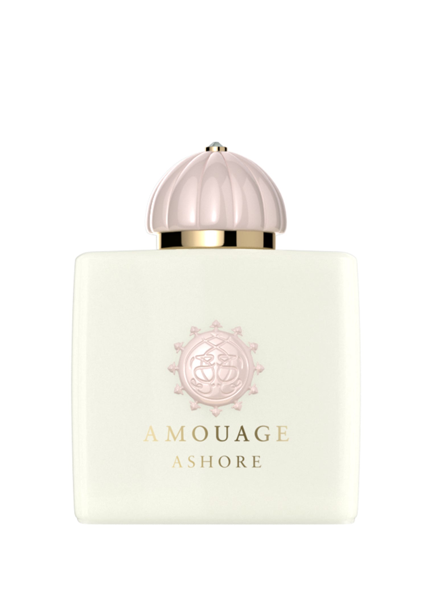 AMOUAGE Ashore EDP W 100ml Boxed