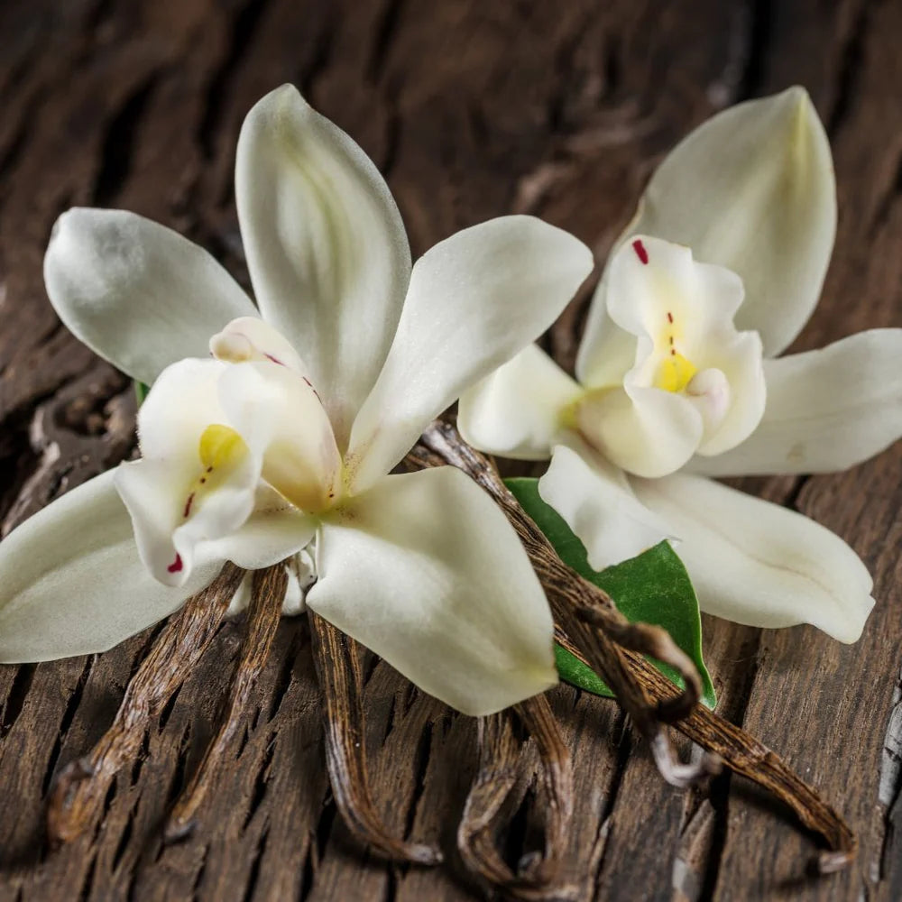 Lattafa Ajayeb Dubai M EDP 100ml Boxed