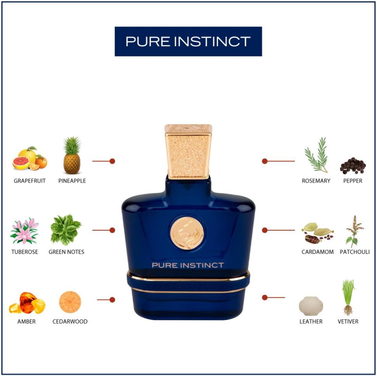 Swiss Arabian Pure Instinct EDP M 100ml