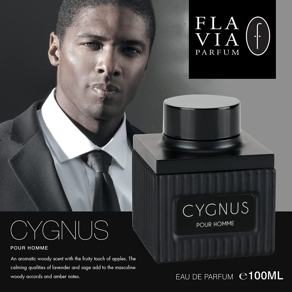 Flavia Cygnus Homme Edp 100ml Boxed