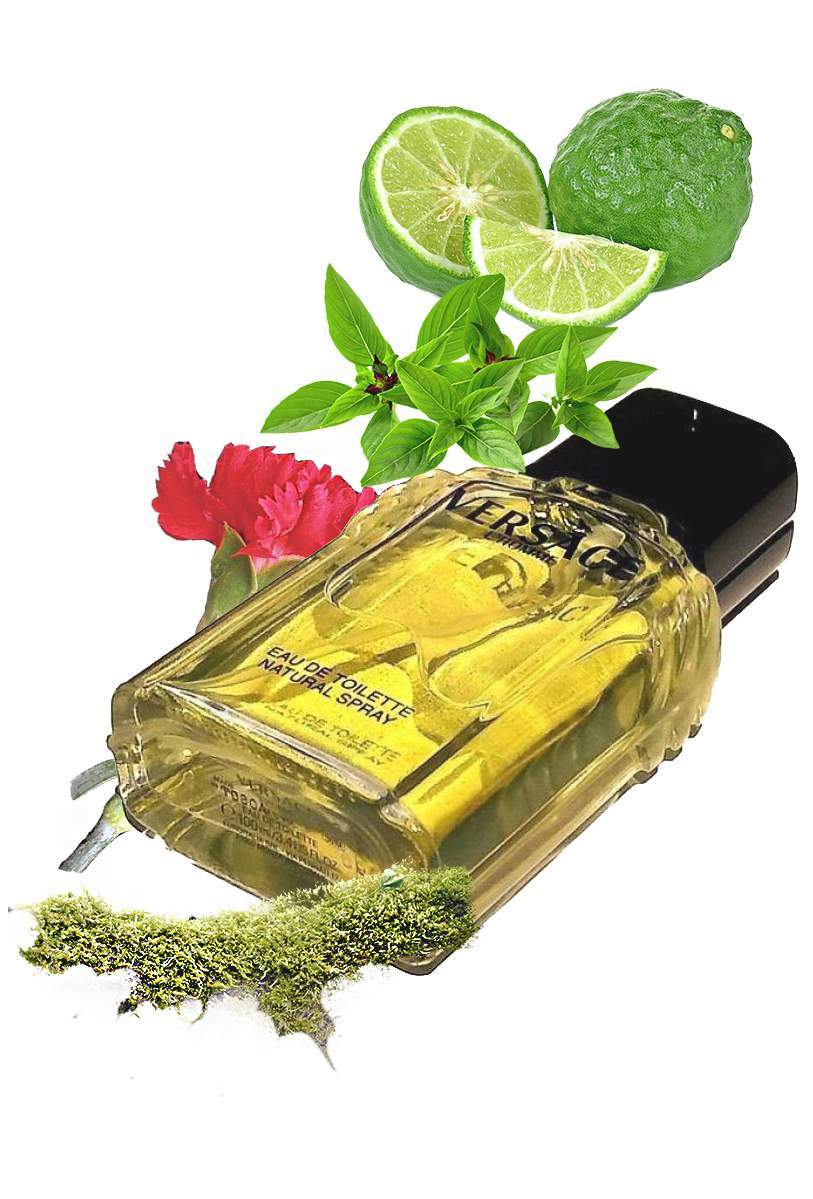 Tester - Versace L'homme M 100ml Tester (Rare Selection)