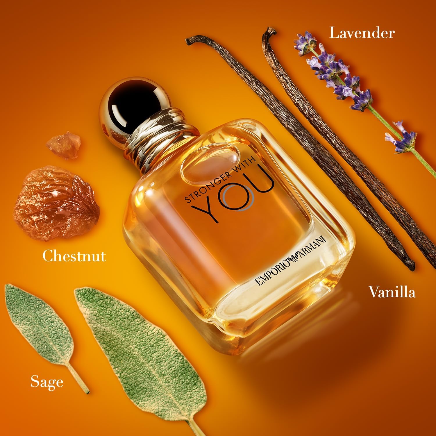 Stronger With You By Giorgio Armani M 100ml Boxed