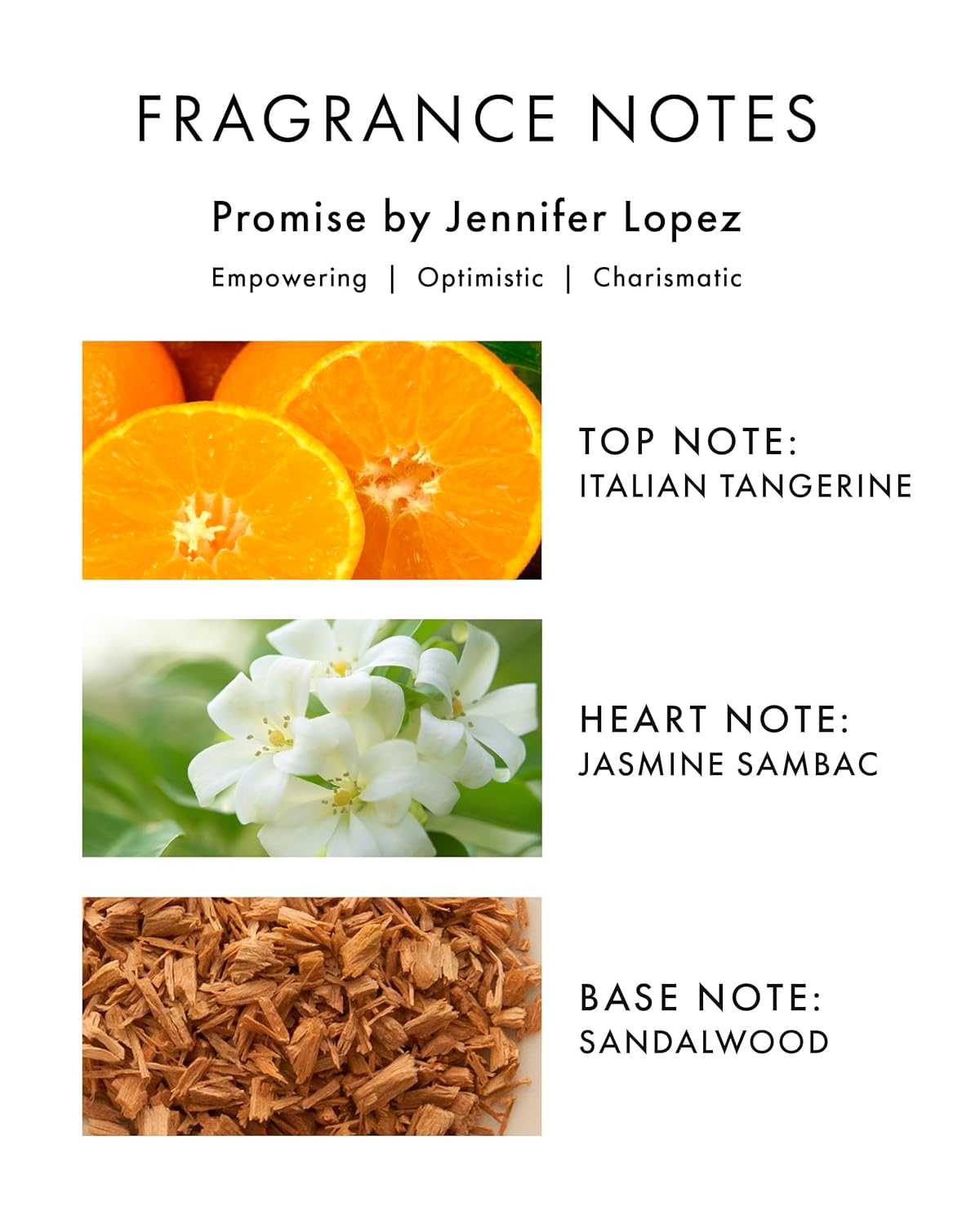 Jennifer Lopez Promise EDP W 100ml Boxed