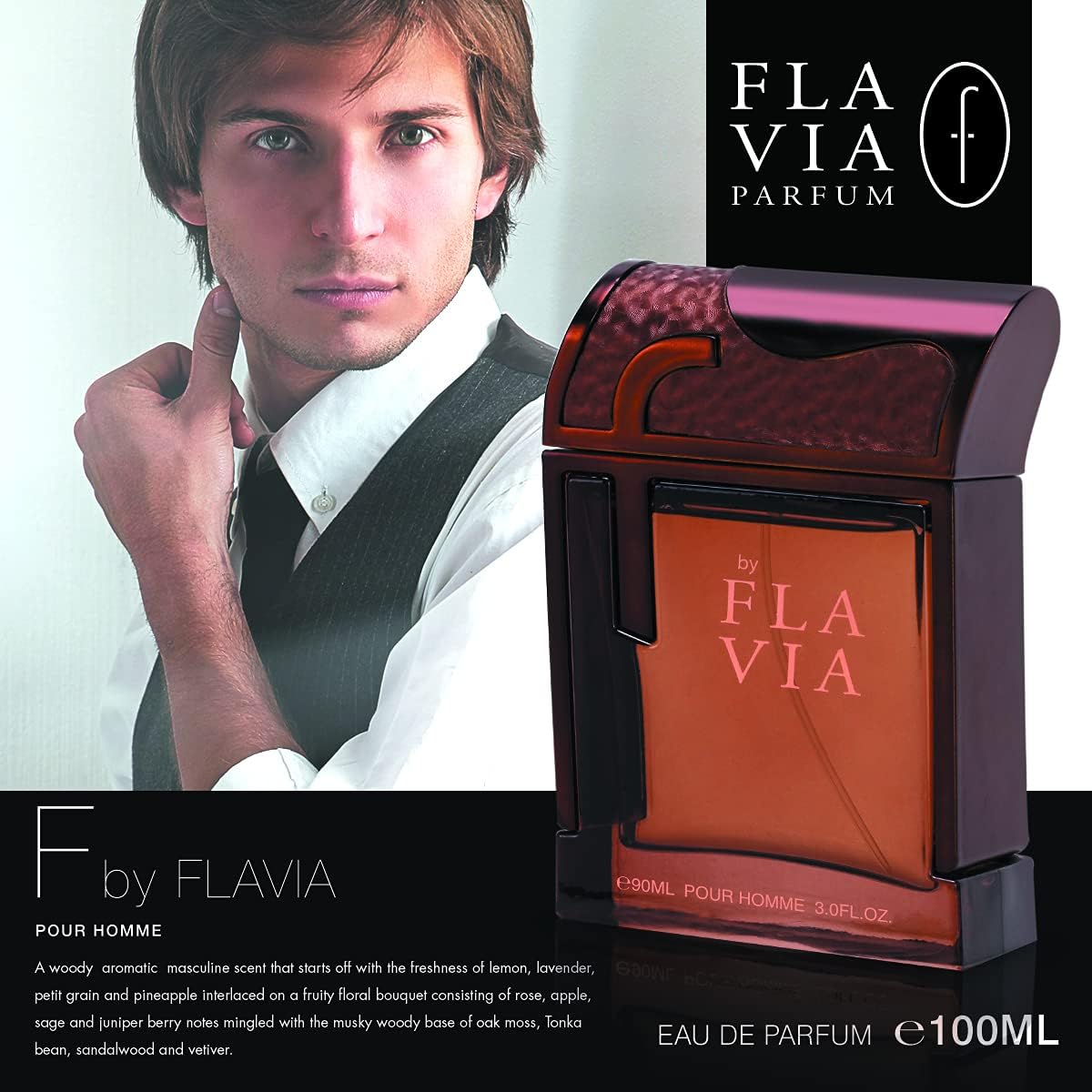 Flavia F Brown EDP M 100ml Boxed