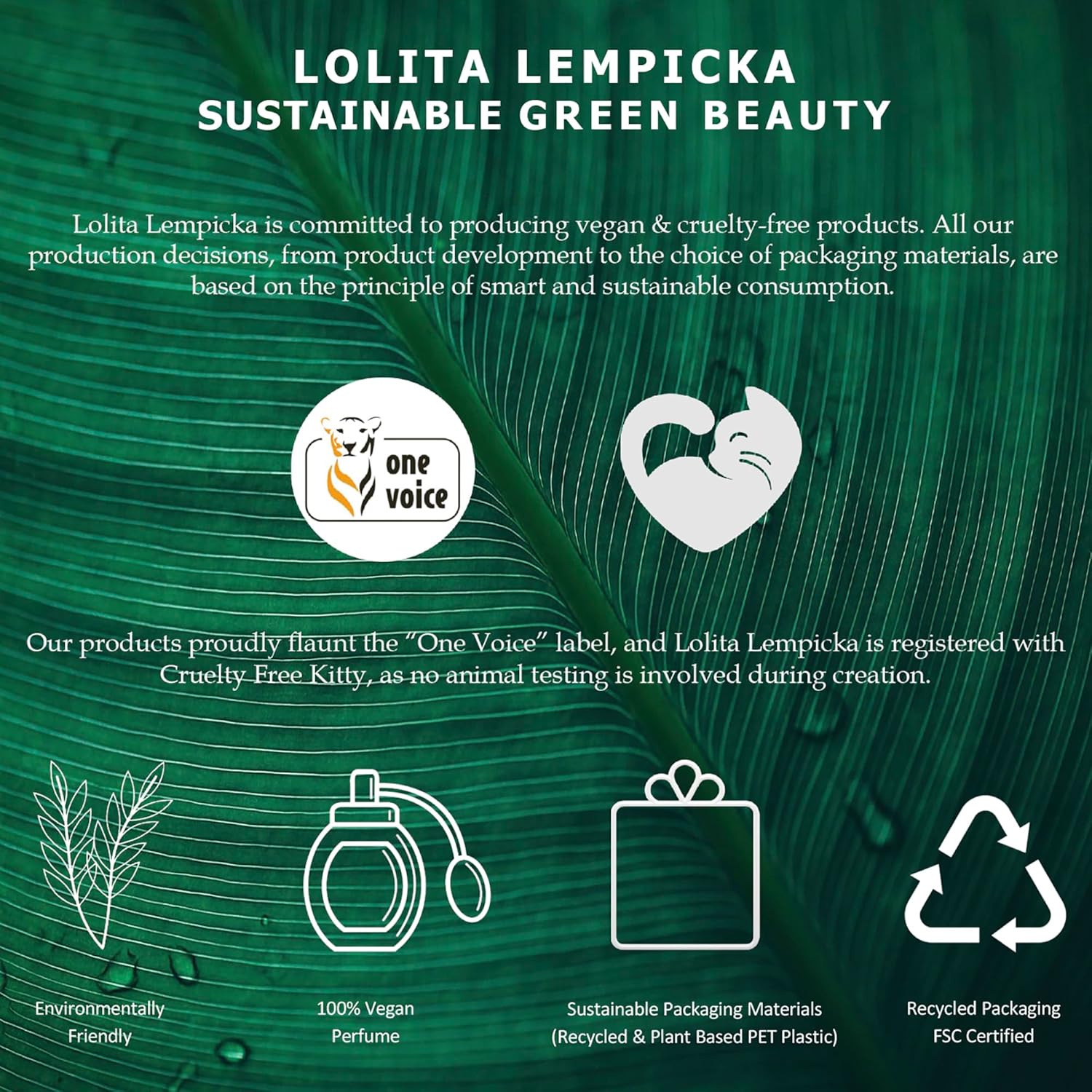 Lolita Lempicka Edp W 100Ml Spray Boxed