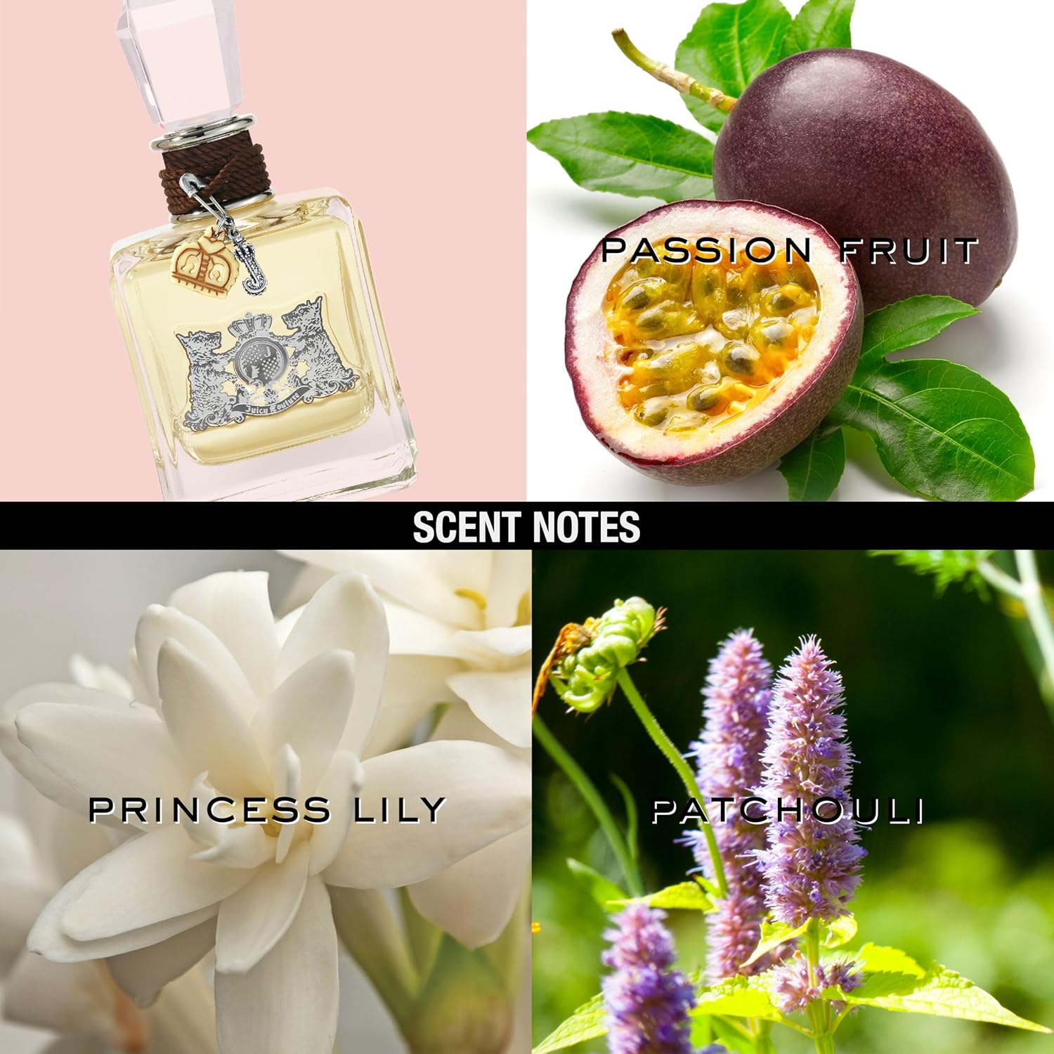 Juicy Couture Classic W 100Ml Spray Boxed