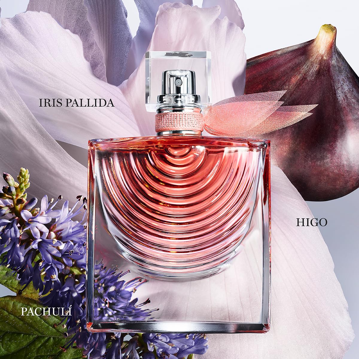 Lancome La Vie Belle Iris Absolue EDP W 50ml Boxed