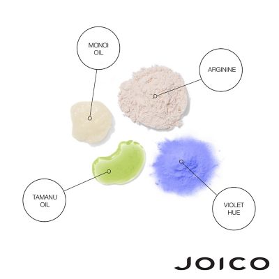 Joico Blonde Life Violet Conditioner 24X Multipack