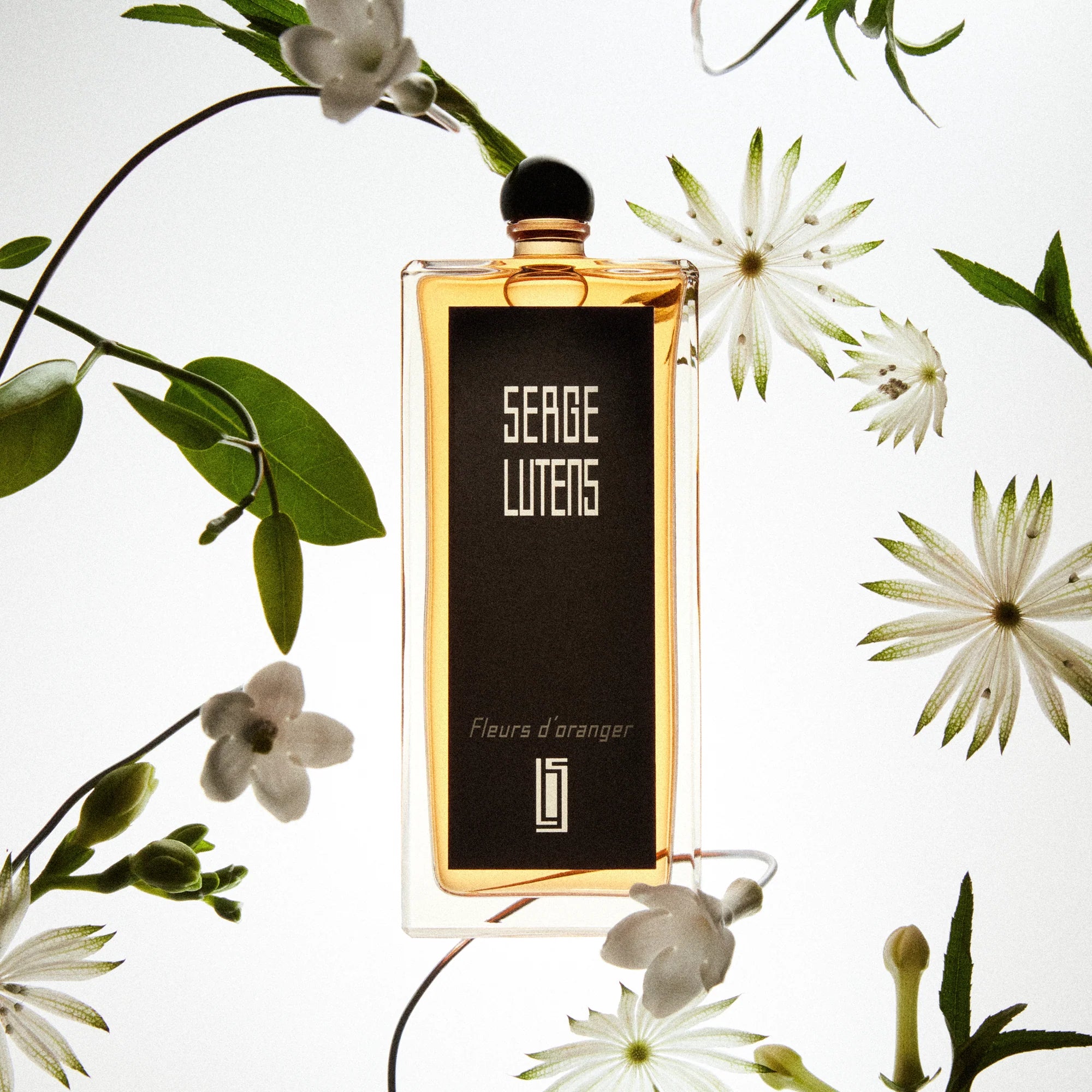 Serge Lutens Fleurs d'Oranger EDP W 50m