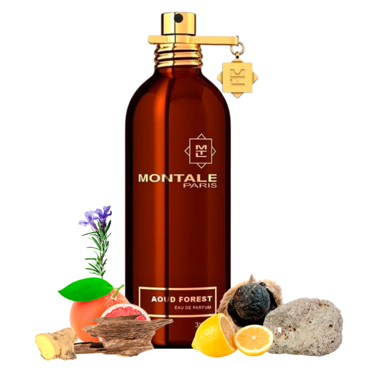 Montale Aoud Forest EDP M 50ml Boxed