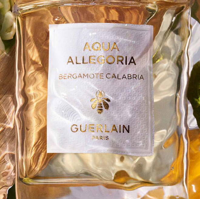 Guerlain Aqua Allegoria Bergamote Calabria W 125ml Boxed