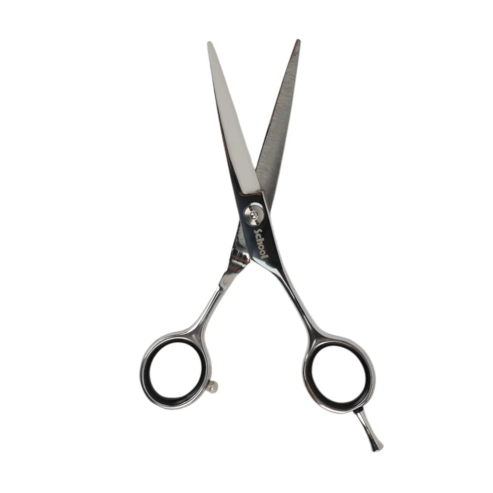 Kiepe Professional Luxury Silver Scissors Blending 5.5 Silver