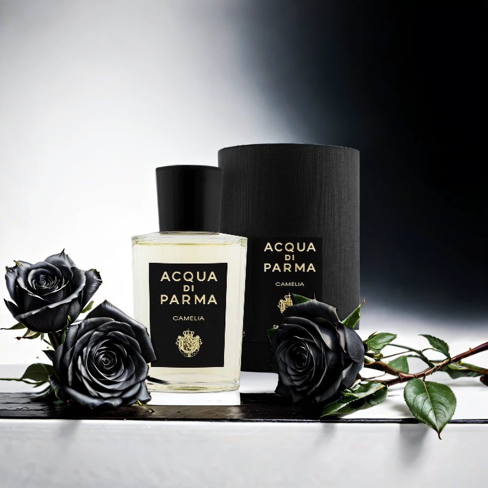 Acqua Di Parma Camelia EDP M 100ml Boxed