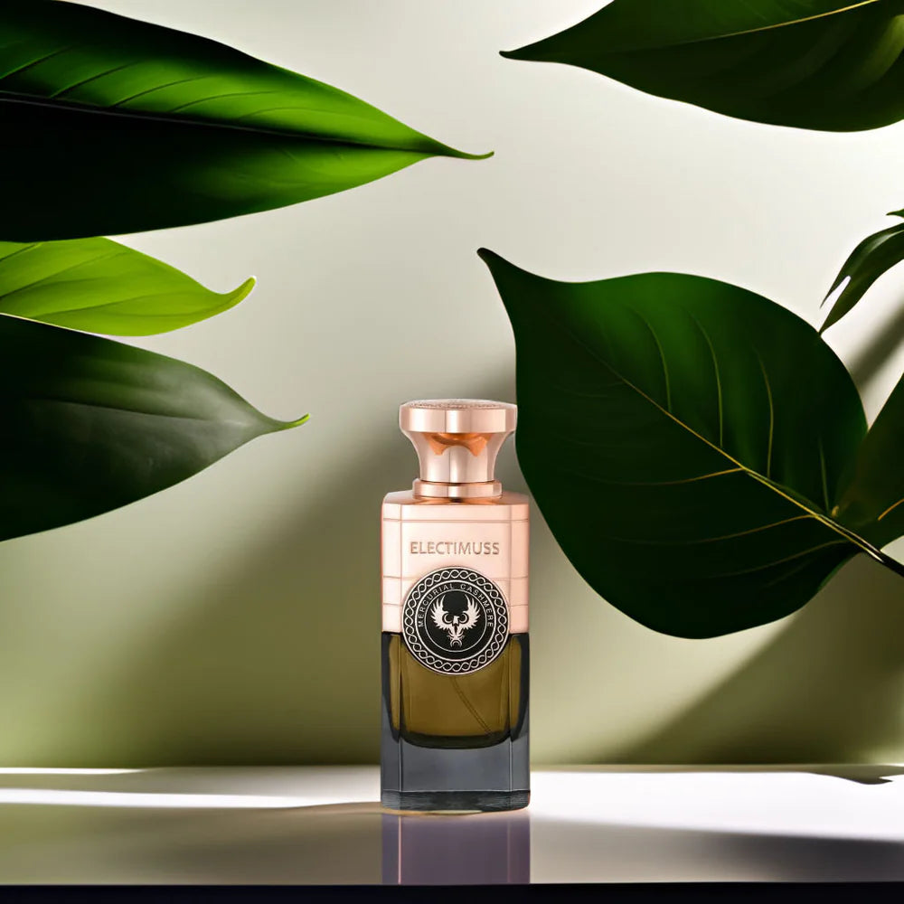 Electimuss Vixere M 100ml Boxed