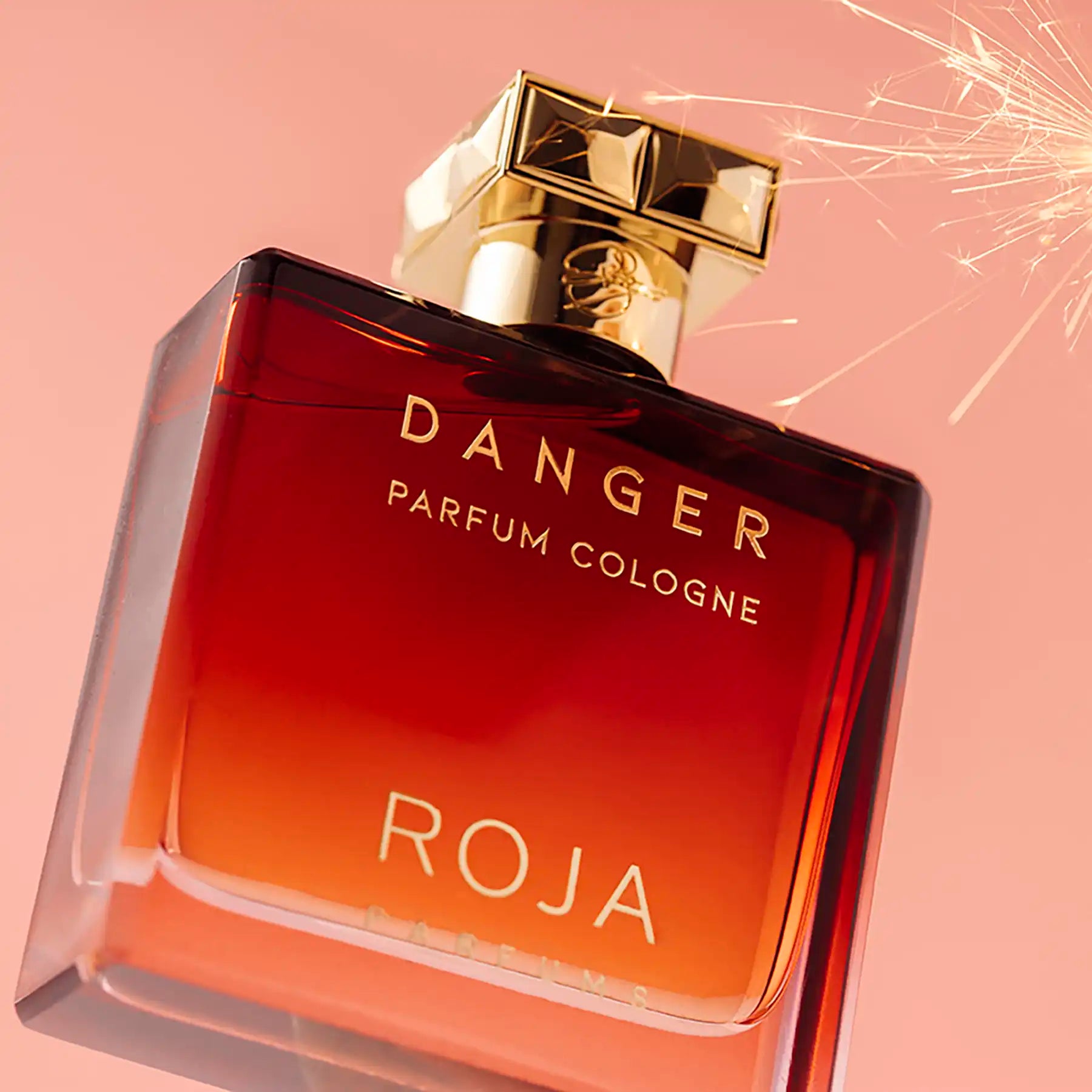 Roja Danger Parfum Pour Homme COLOGNE Edition M 100ml