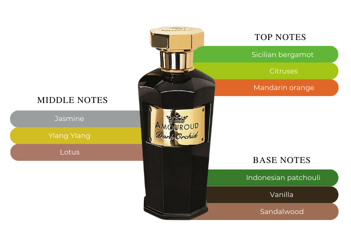 Amouroud Dark Orchid EDP M 100ml Boxed