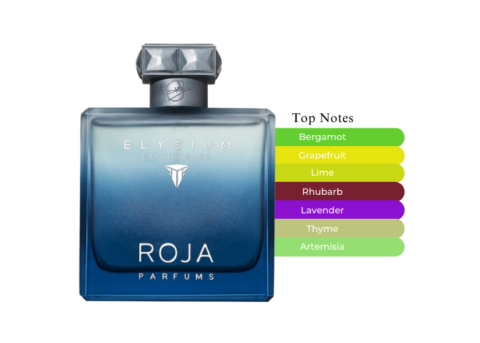 Roja Elysium Eau Intense M 100ml Boxed