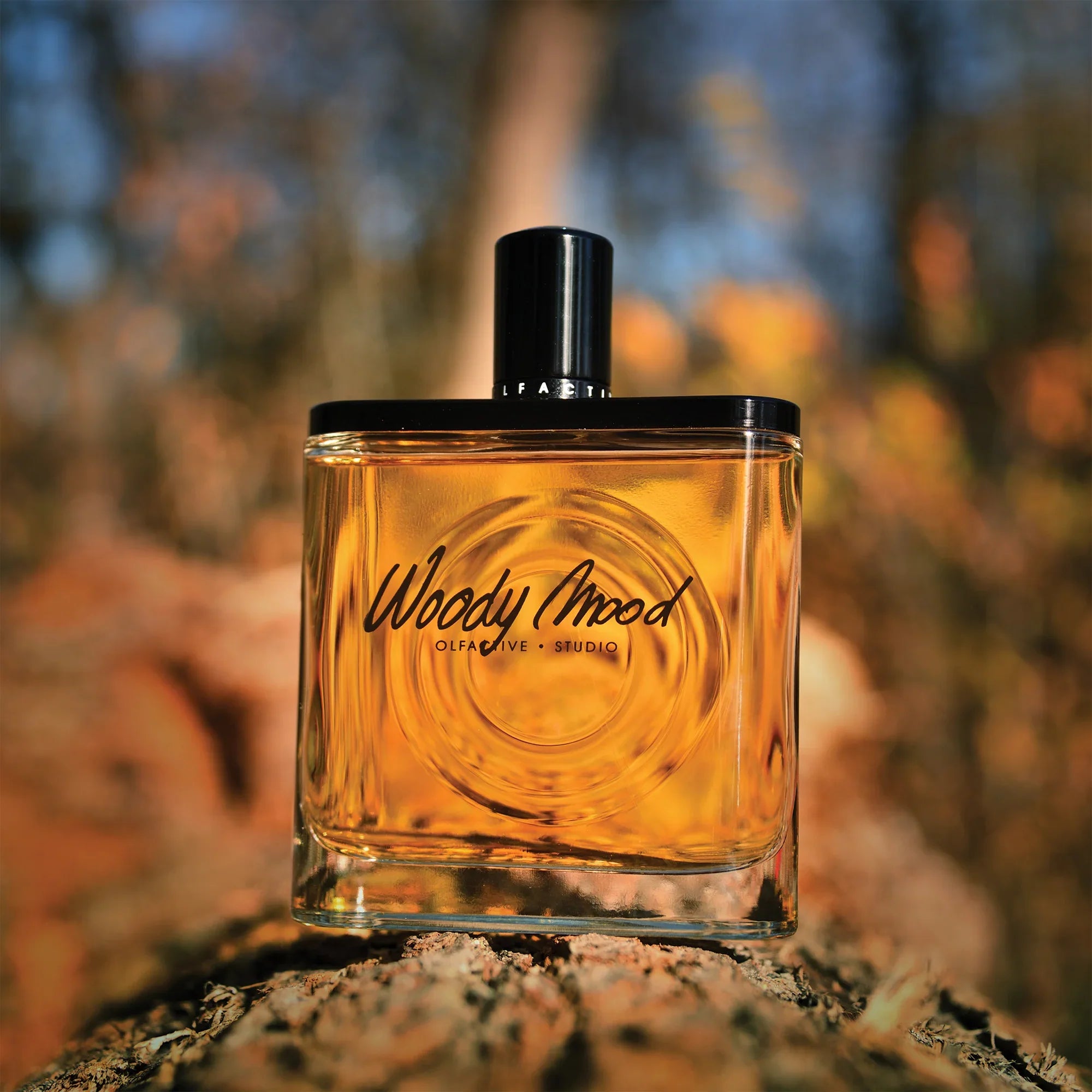 Olfactive Studio Woody Mood EDP M 100ml Boxed