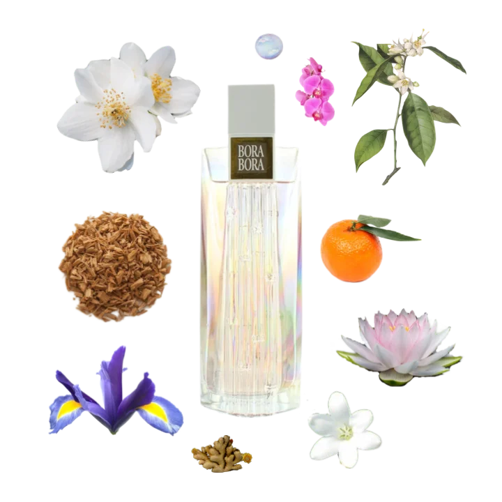 Claiborne Bora Bora W 100Ml Spray Boxed
