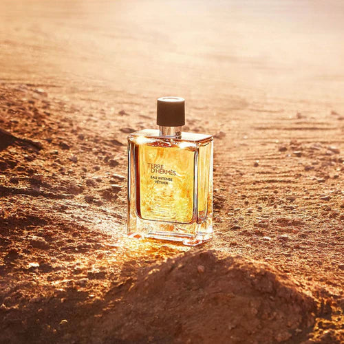 Hermes Terre Intense Vetiver M 100ml Boxed