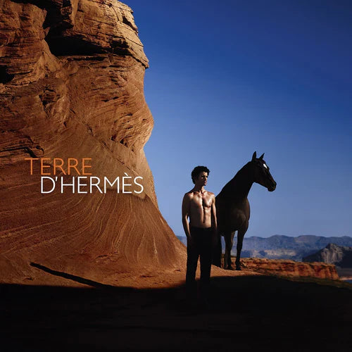 Hermes Terre Intense Vetiver M 100ml Boxed