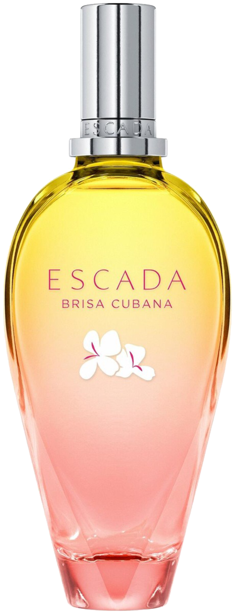 Escada Brisa Cubana EDT W 100ml Boxed