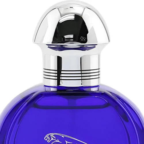 Tester - Jaguar Evolution M 100ml Tester