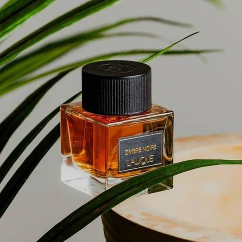 Lalique Ombre Noire EDP M 100ml Boxed