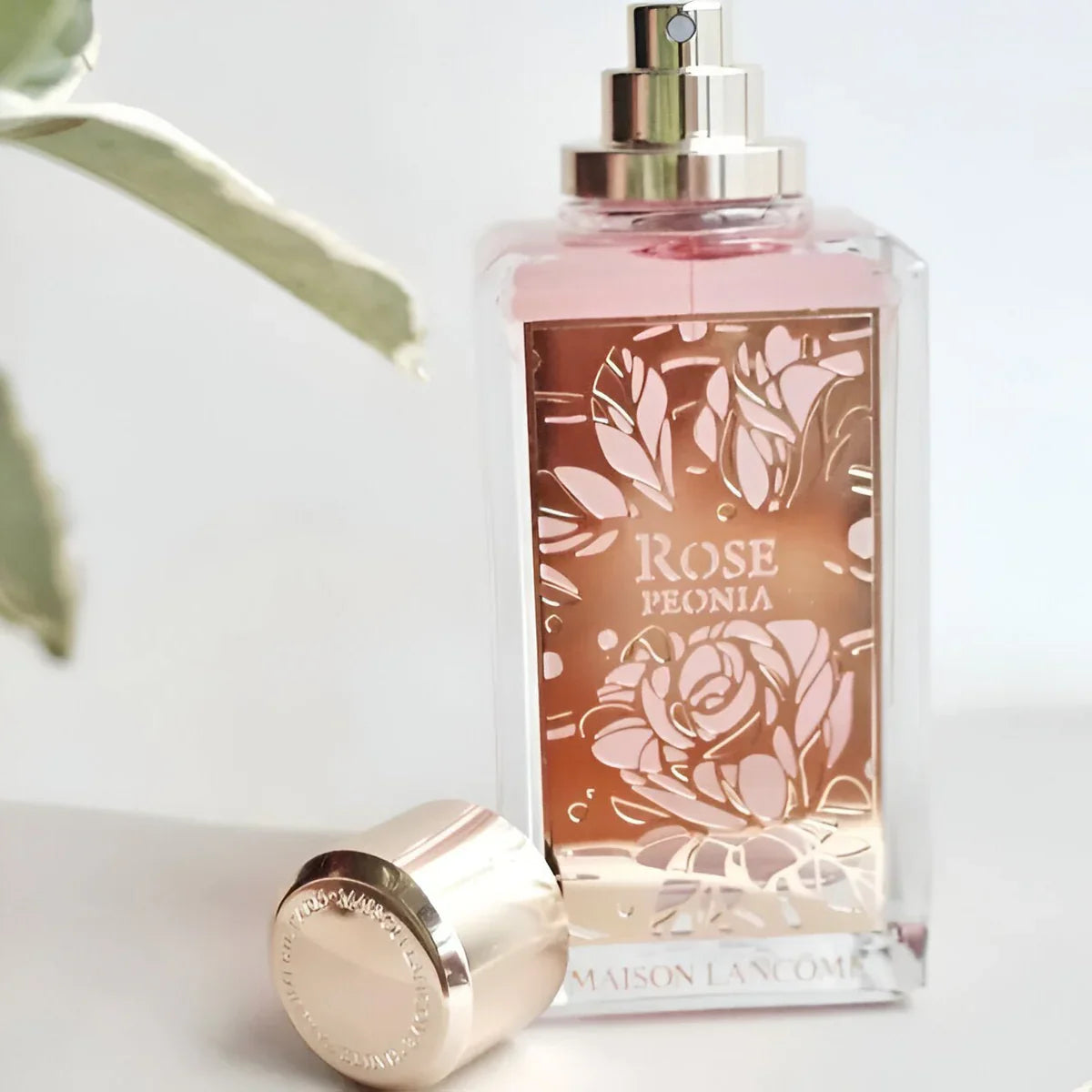 Lancome Maison Rose Peonia EDP W 100ml Boxed