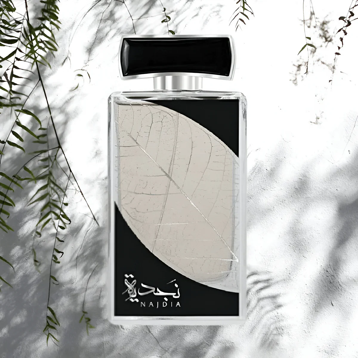 Lattafa Najdia M EDP 100ml Boxed