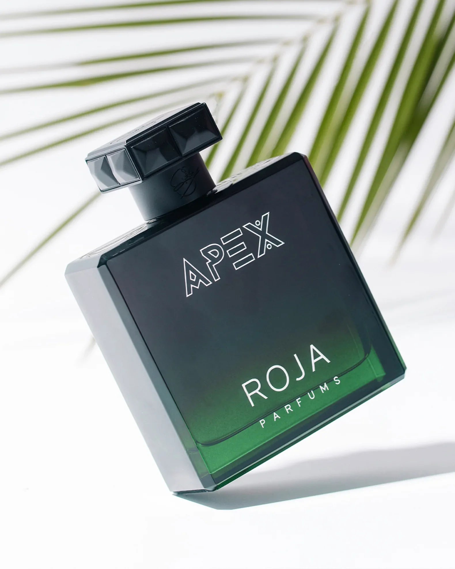 Roja Apex Parfum Pour Homme COLOGNE Edition M 100ml