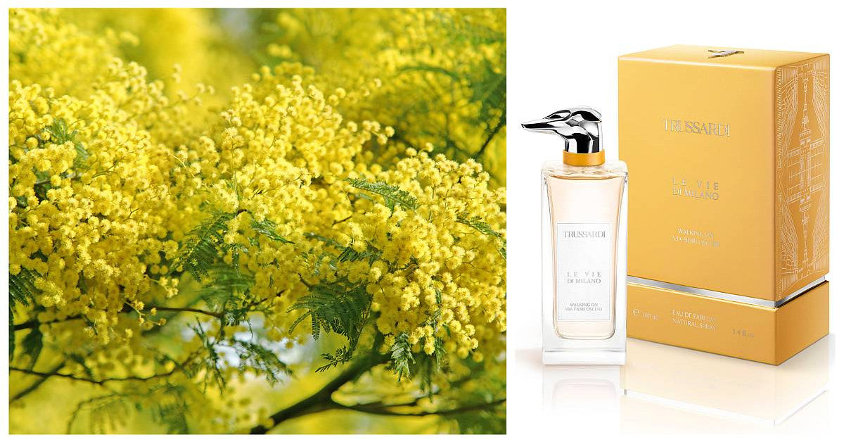 Trussardi Le Vie Di Milano Walking On Via Fiori Oscuri EDP W 100ml Boxed (Rare Selection)