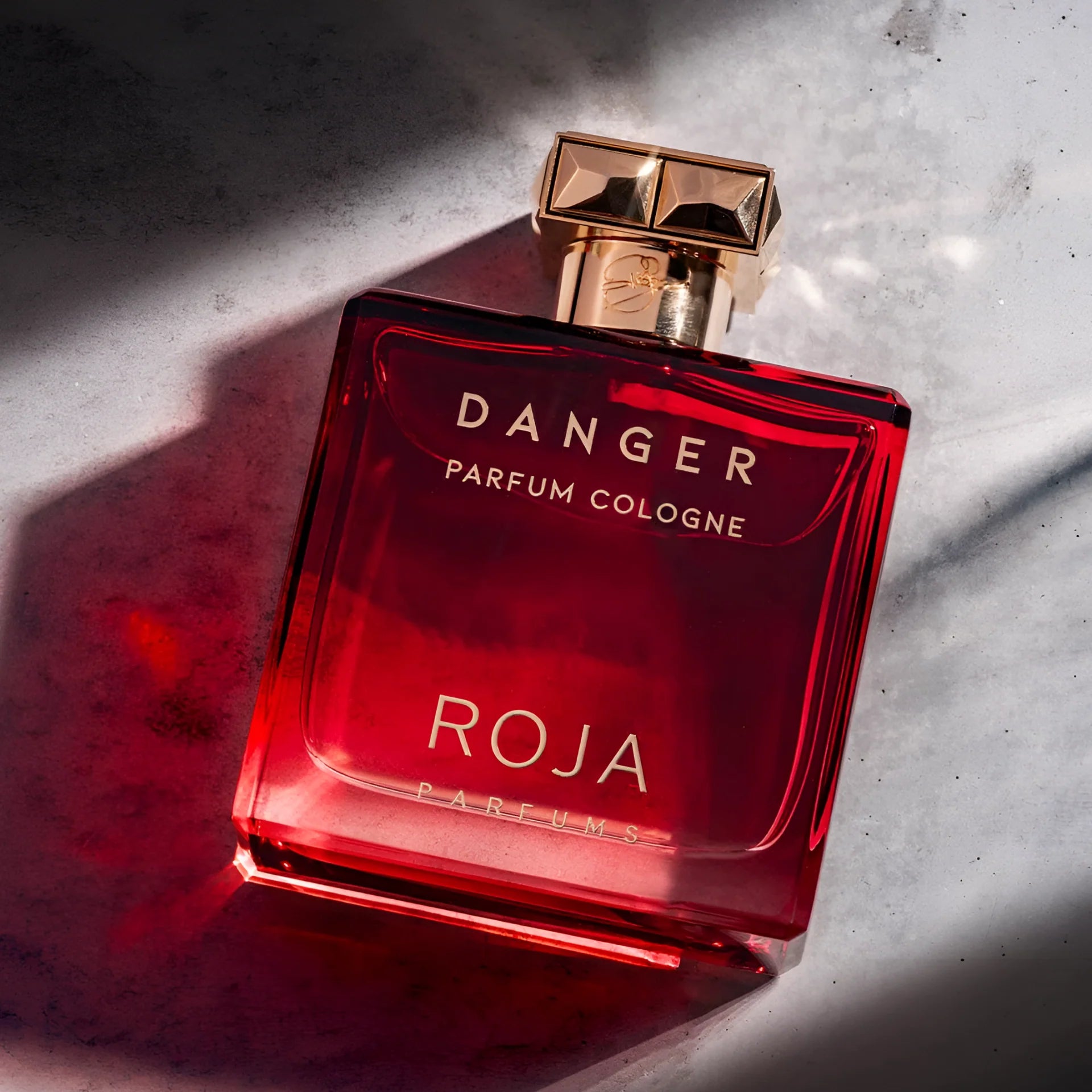 Roja Danger Parfum Pour Homme COLOGNE Edition M 100ml